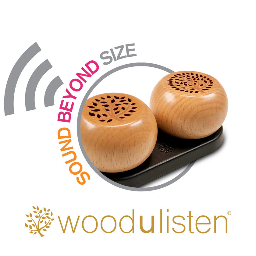 Woodulisten hot sale bluetooth speaker