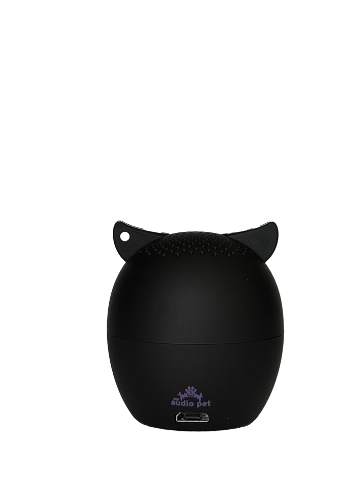 Murciélago negro 5.0