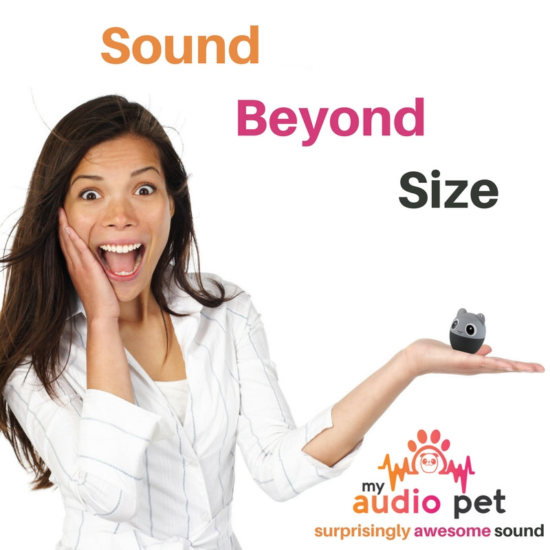 Soundy Mouse Mega Mouse | My Audio Pet